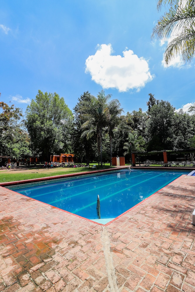 El Marques Hacienda 68/71