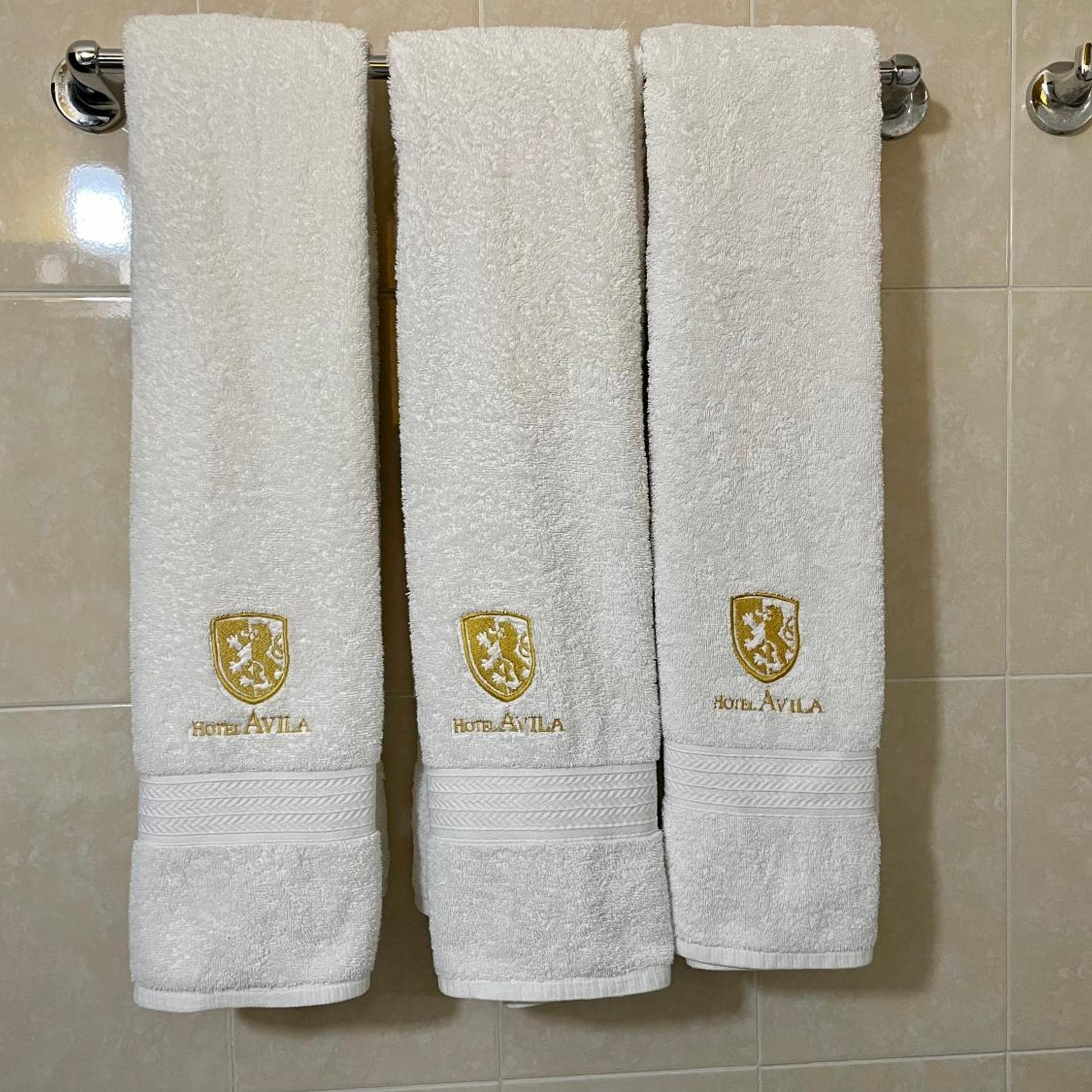 Hotel Avila 18/41