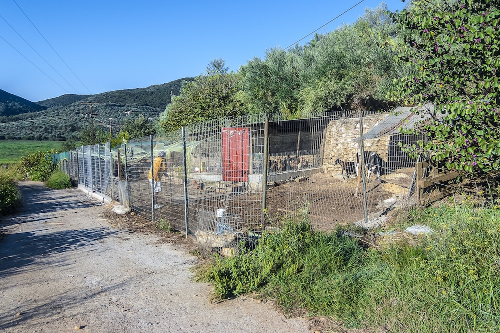 Pyrgos Petropoulaki 45/50