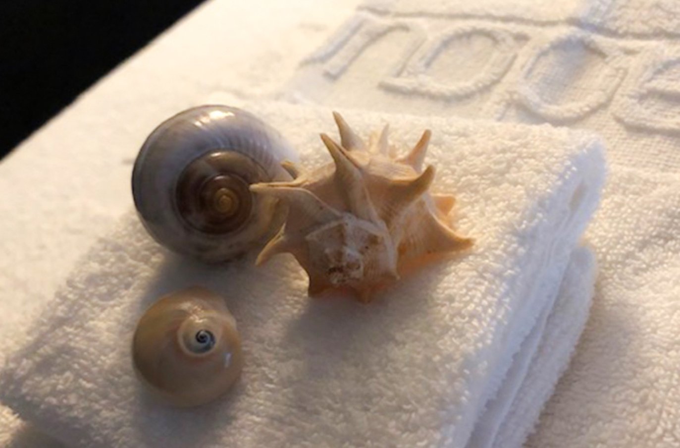 FURADOURO BOUTIQUE HOTEL BEACH & SPA 67/69