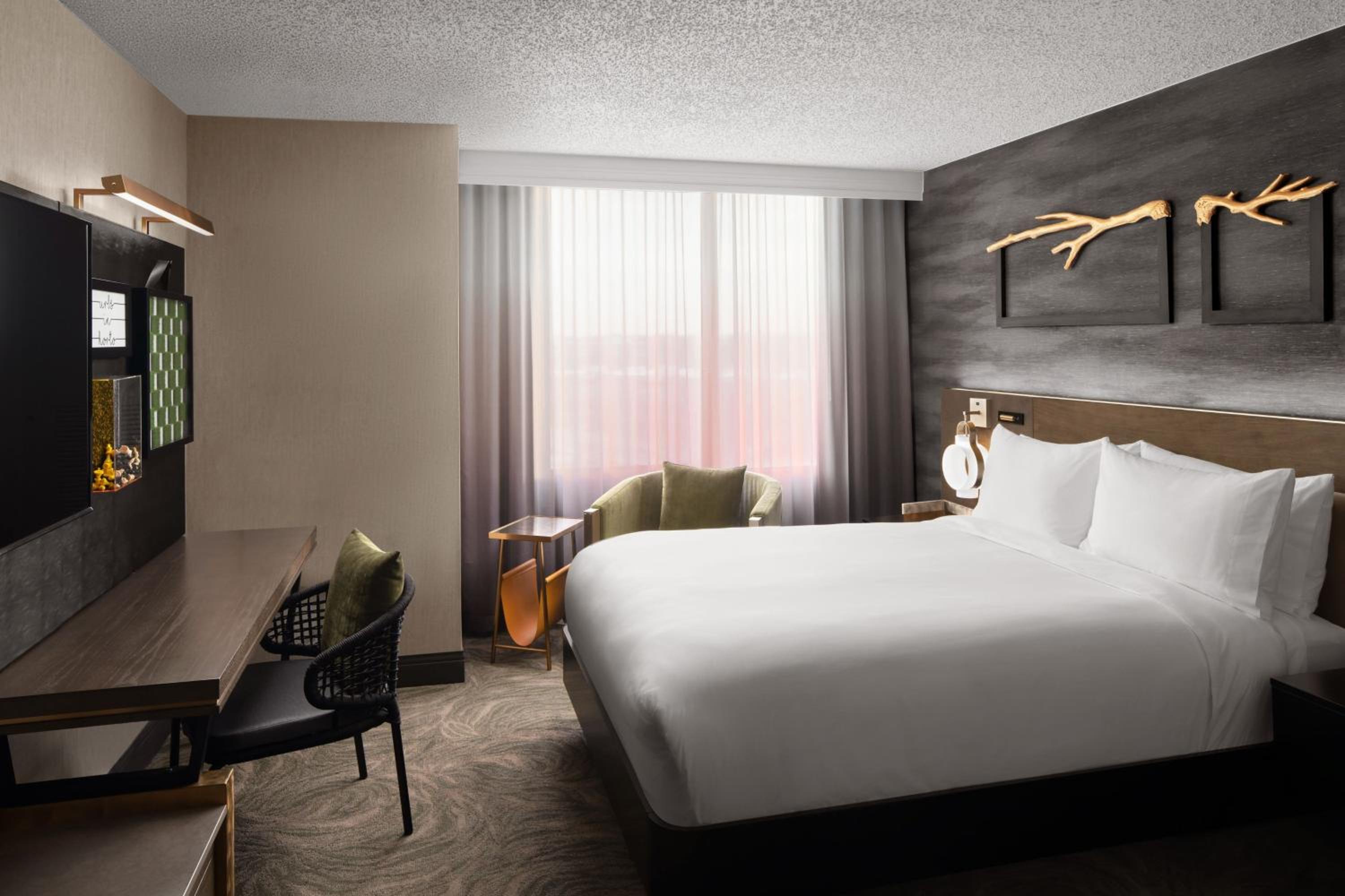 Renovated, Guest Room, Queen Bed