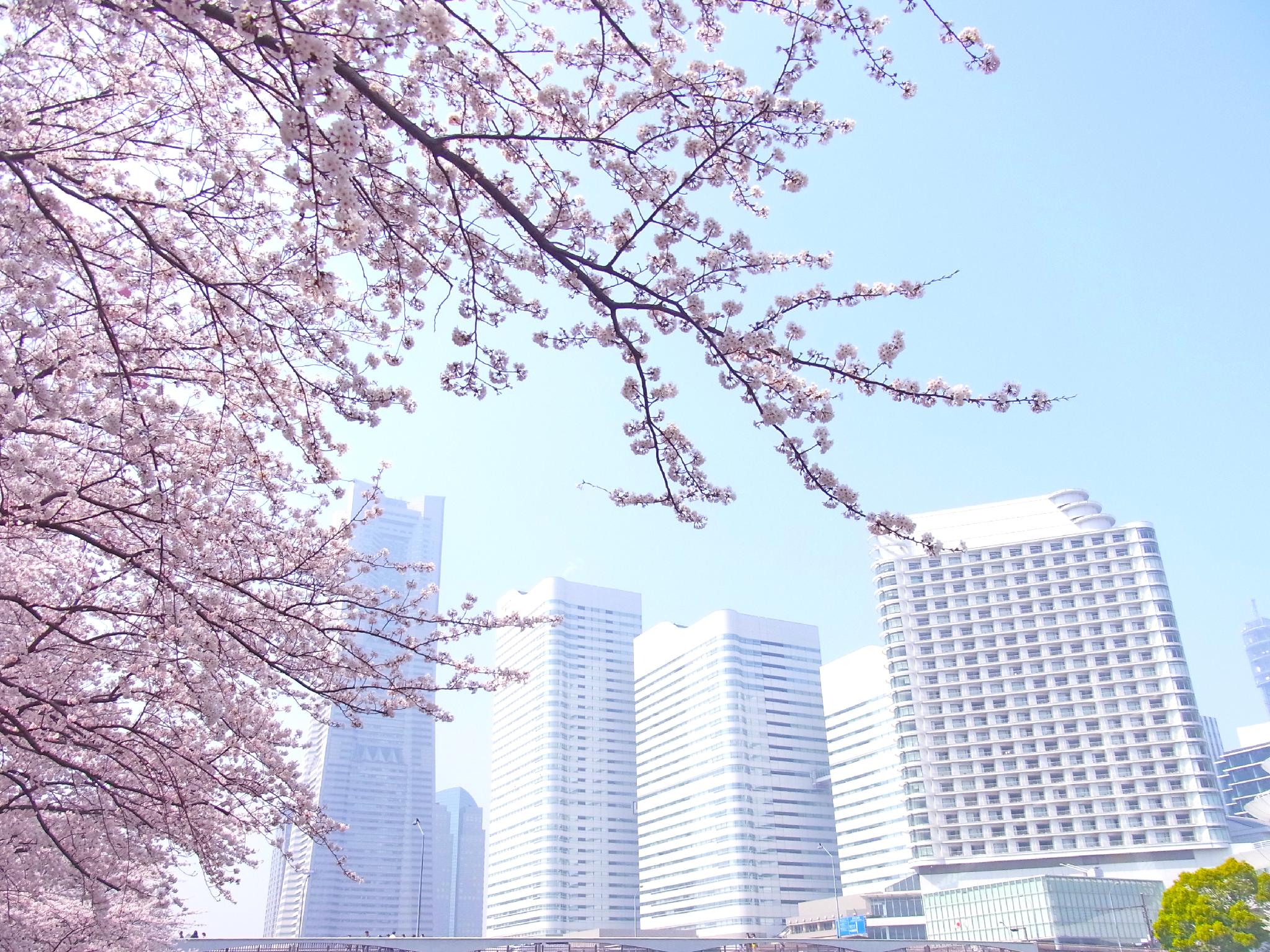 The Yokohama Bay Hotel Tokyu in YOKOHAMA