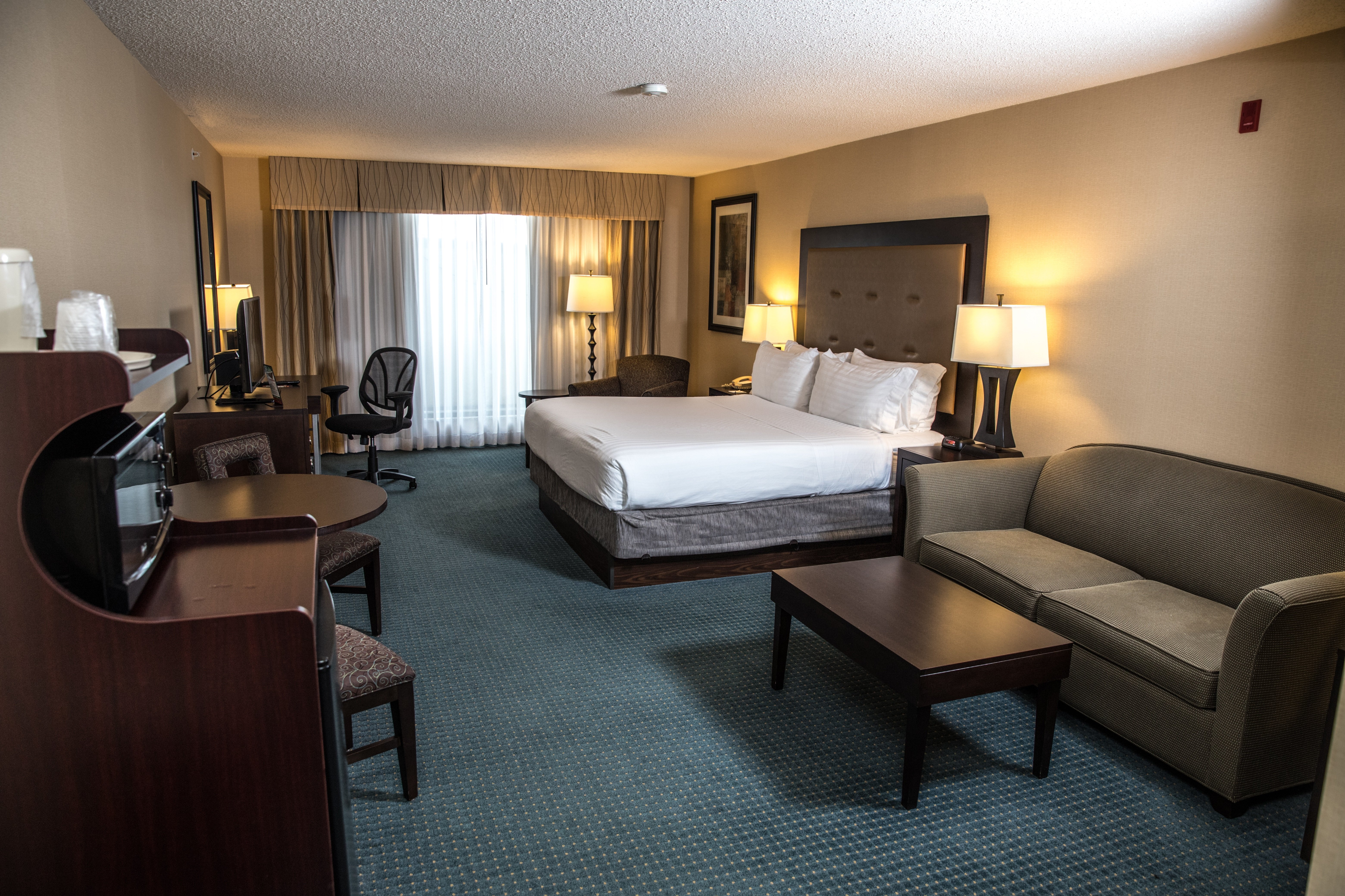Holiday Inn Express Hotel & Suites Detroit-Novi 12/69