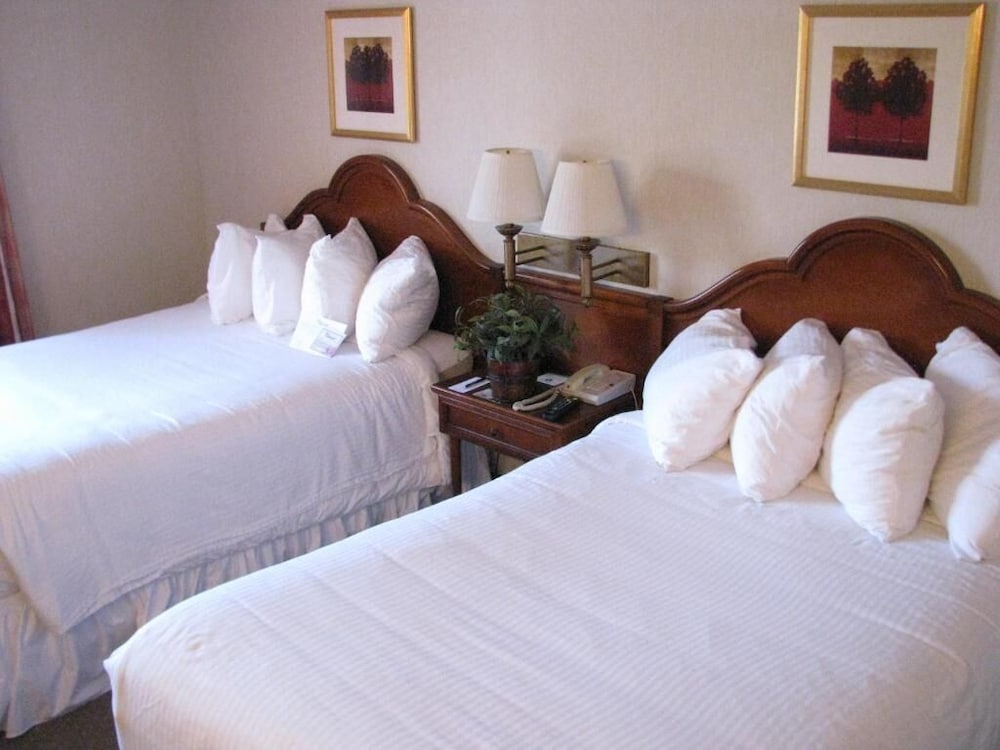 Mcm Elegante Suites 12/59