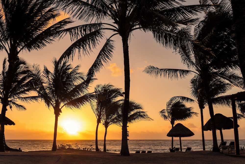 Grand Palladium Kantenah Resort Spa All Inclusive 58/62