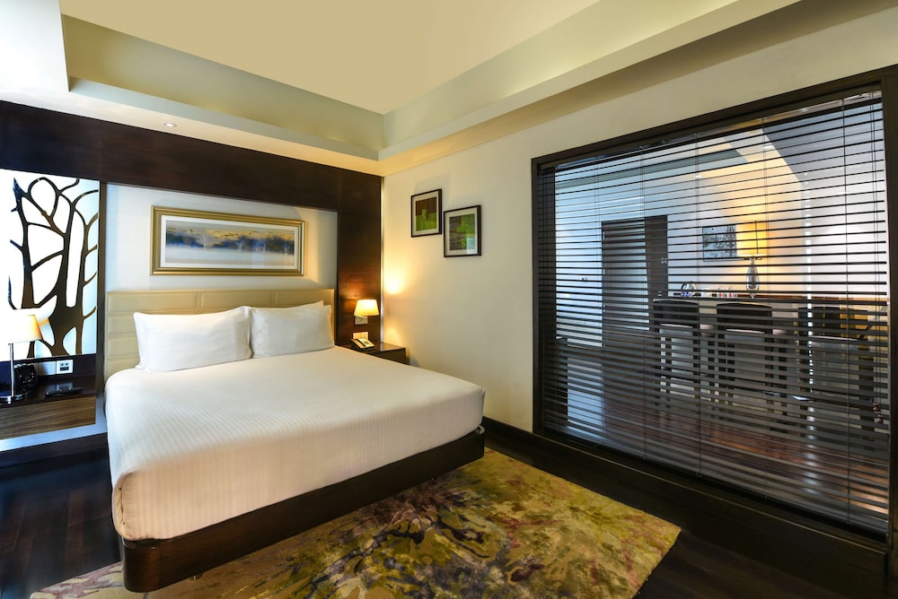 DoubleTree by Hilton Gurugram Baani Square 12/47