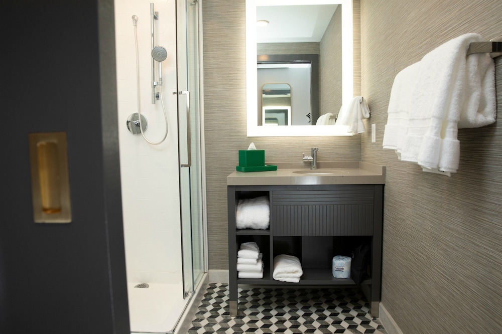 Hotel Indigo St. Louis - Downtown 14/46