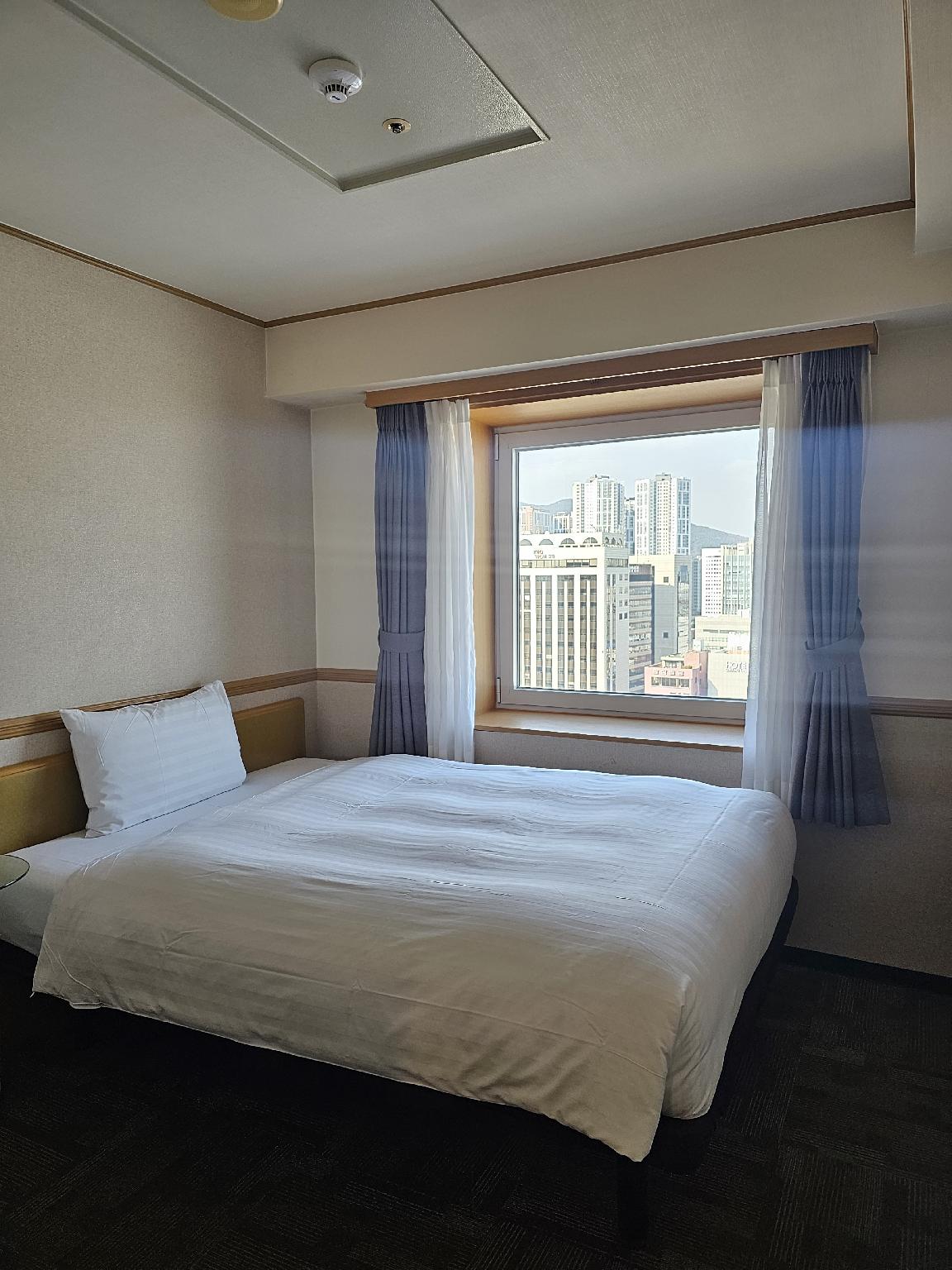 Room, Single, City View