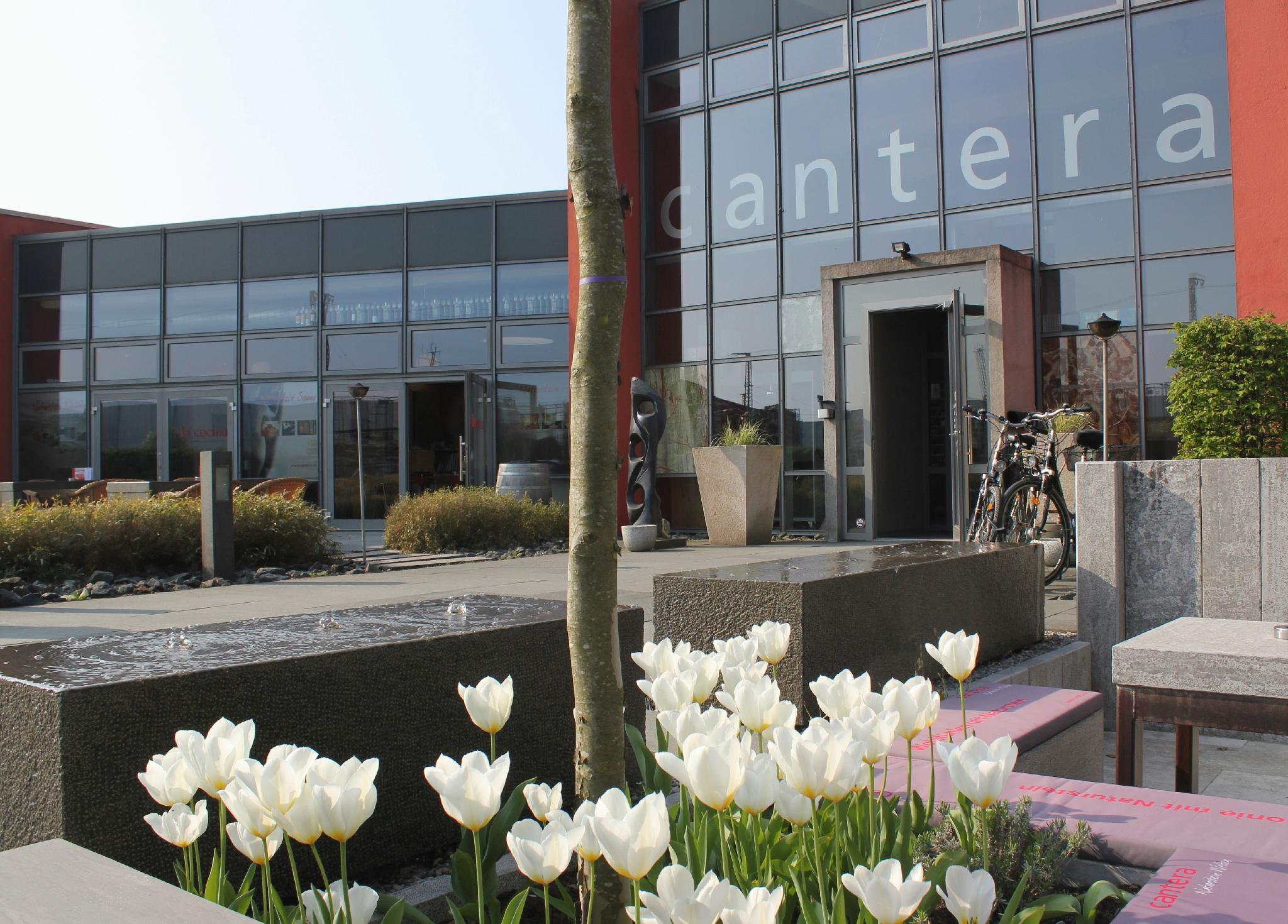 cantera by Wiegand 1/31