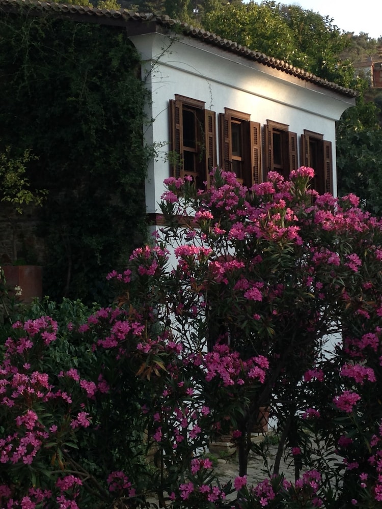 Terrace Houses Sirince - Fig, Olive and Grapevine 45/48