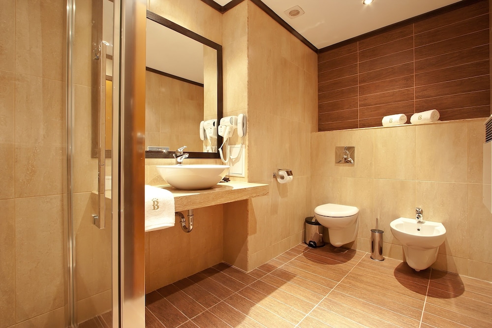Best Western Plus Bristol Hotel 17/41