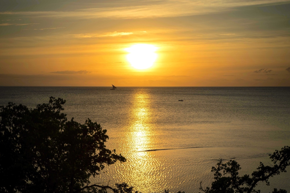 Jungle Paradise Beach Resort & Spa Mbweni Ruins 29/50