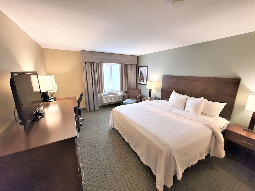 غرفة قياسية بسرير كينج، AmeriVu Inn and Suites - Chisago City 3/5