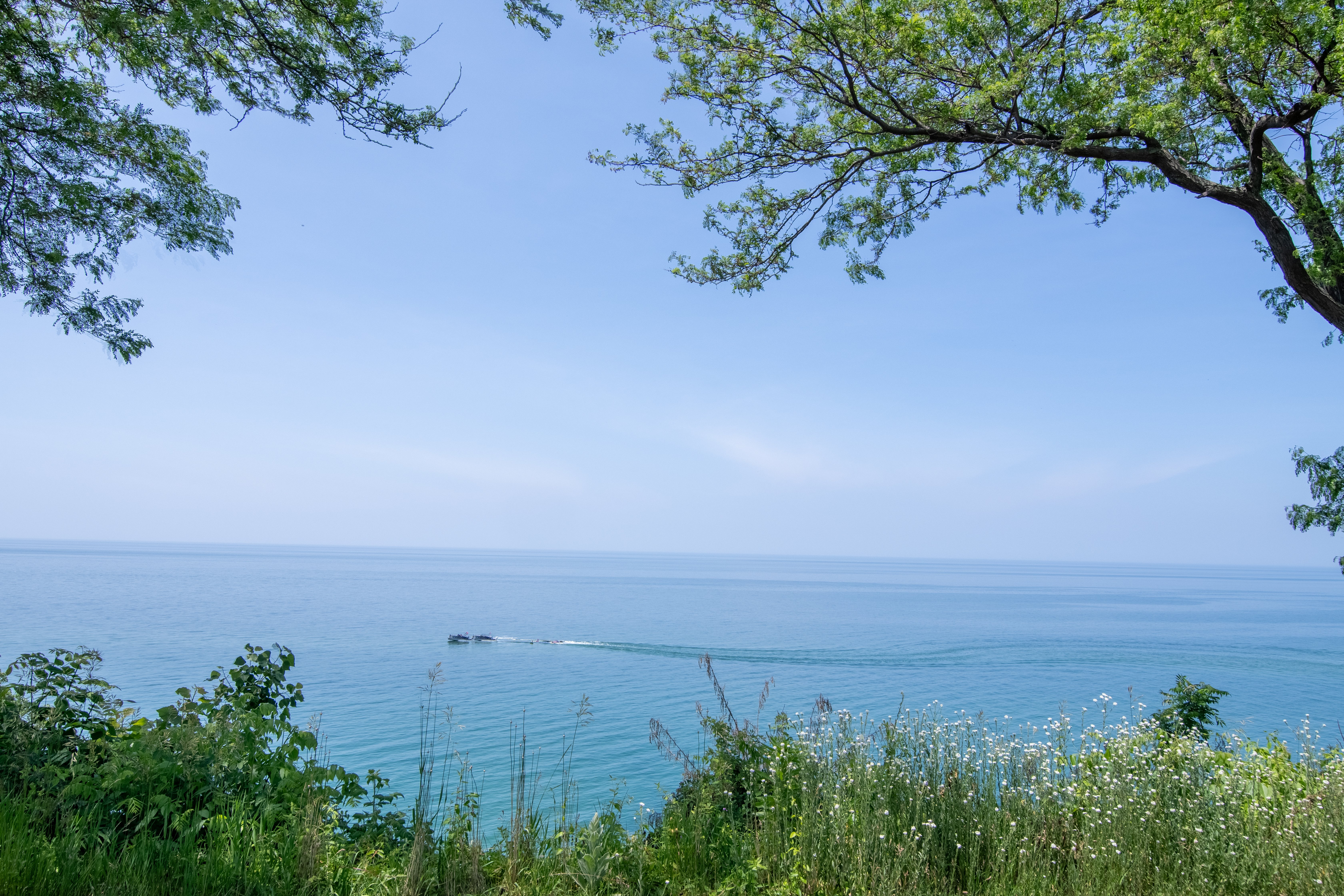 Holiday Inn Express & Suites Stevensville - Benton Harbor, an IHG Hotel 46/50