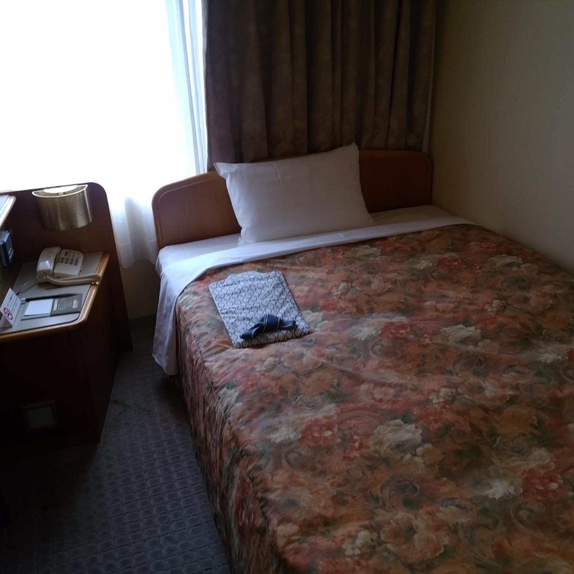 Hotel New Green Kashiwazaki 16/47