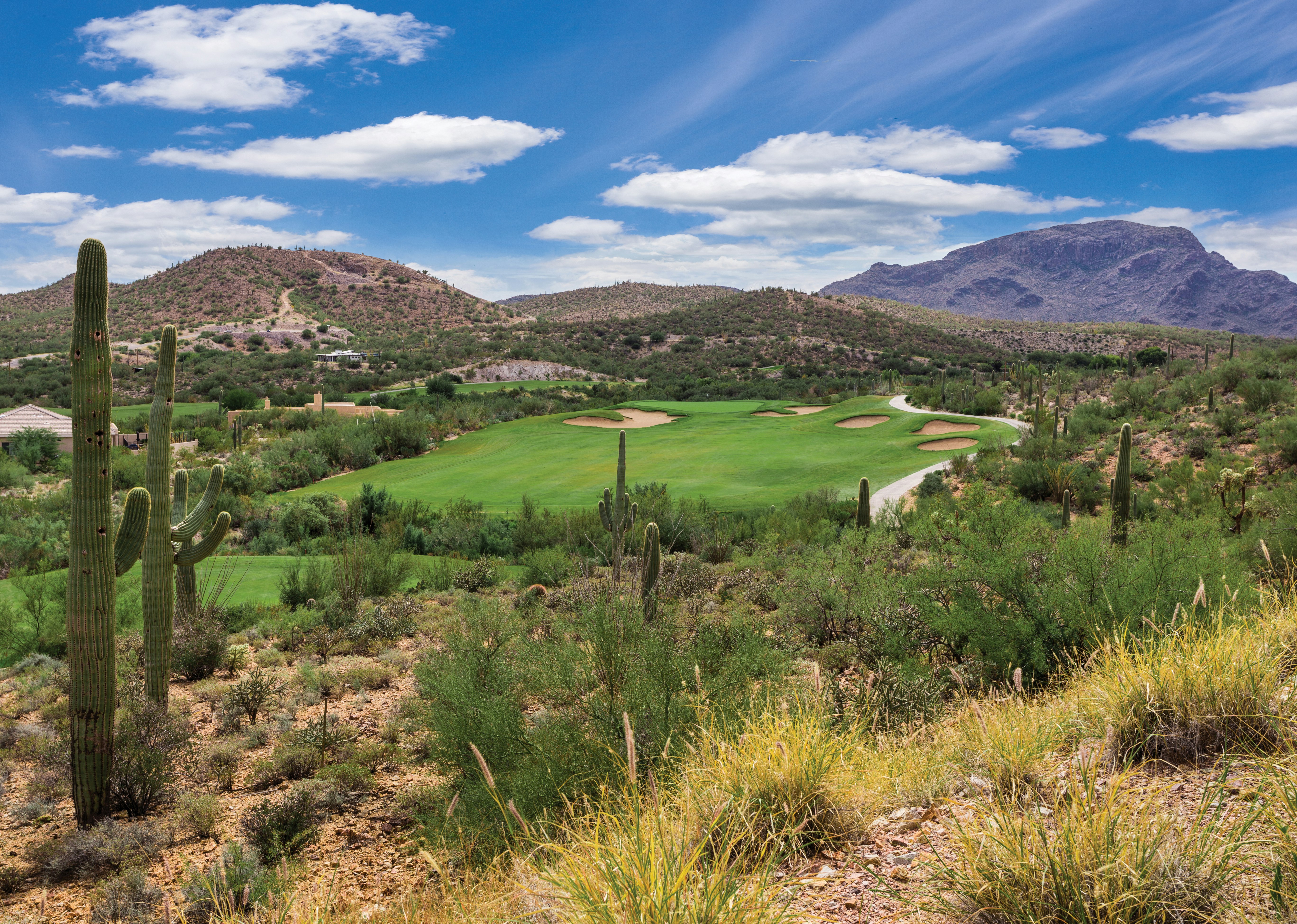 Starr Pass Golf Suites 46/50