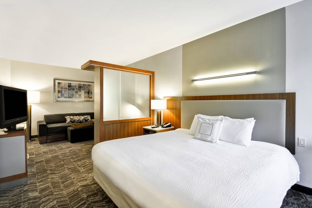 Springhill Suites Tallahassee Central 11/46