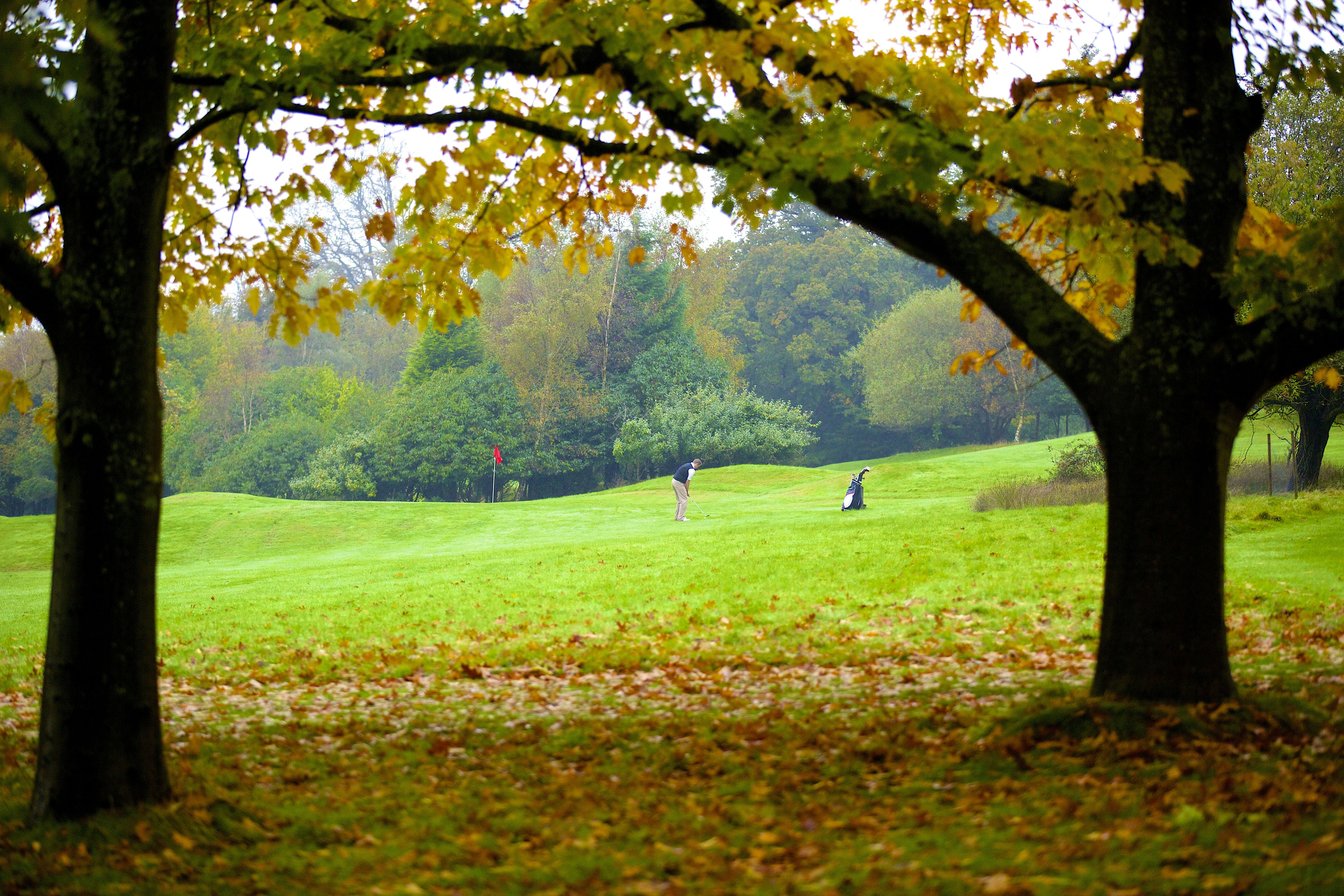 Ashdown Park Hotel And Country Club 81/84