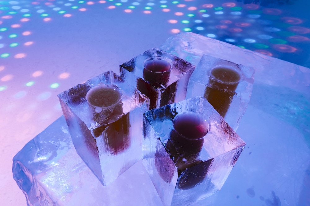 Hotel De Glace (Ice Hotel) 9/36