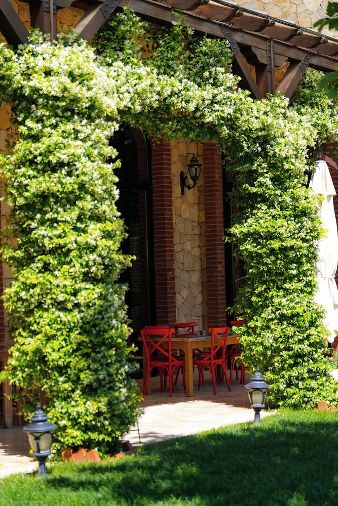 Bengodi Boutique Hotel(+12) 1/50