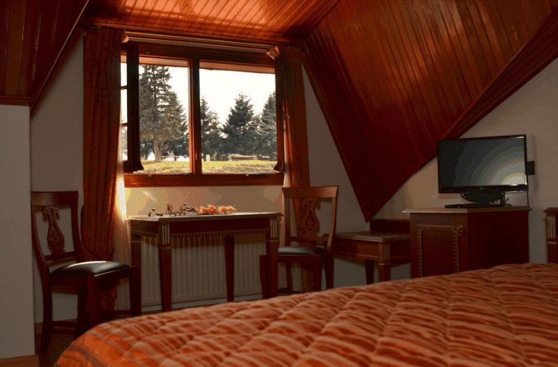 HOTEL APOLLON METSOVO 36/49