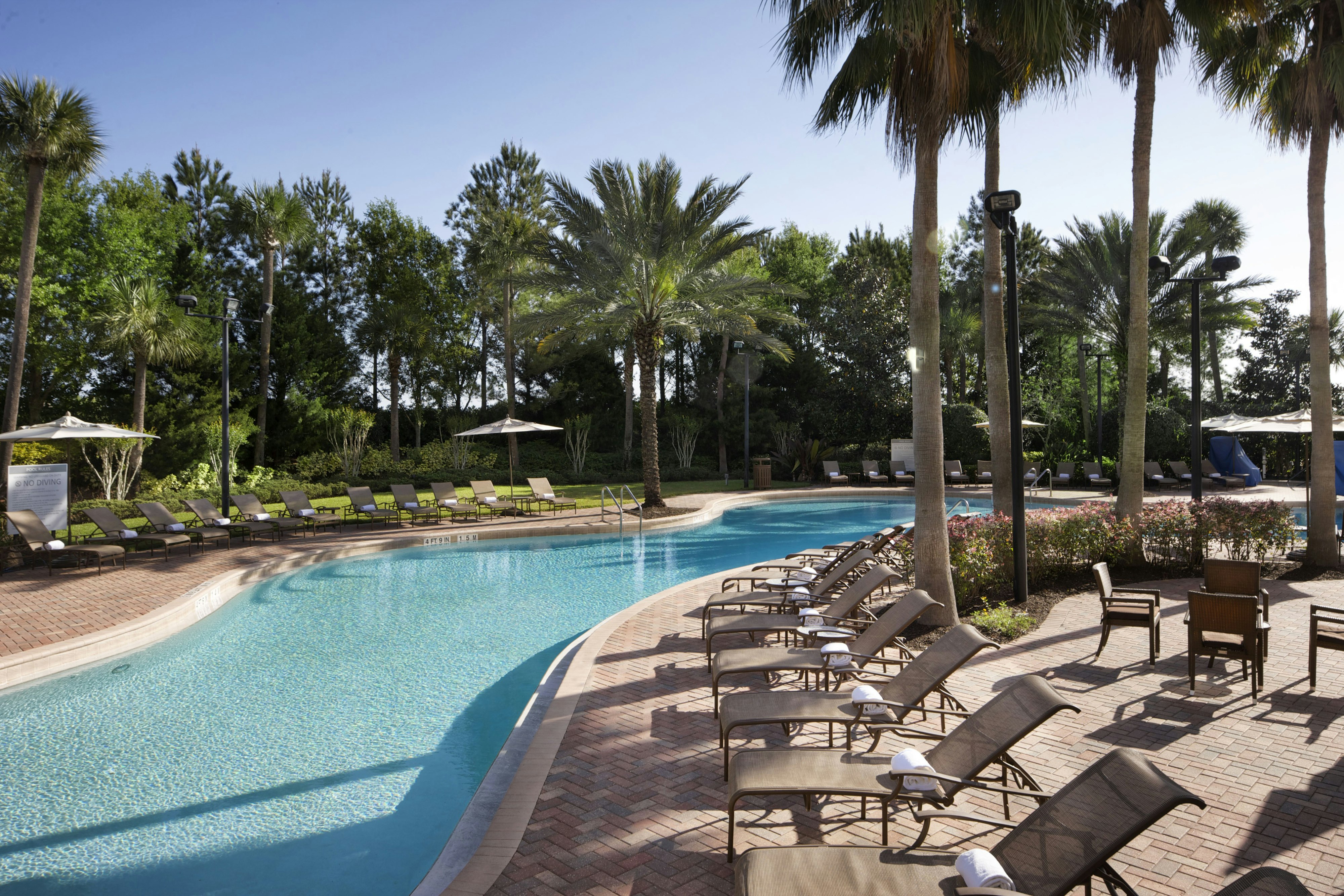 Hilton Grand Vacations Club Las Palmeras Orlando 59/61