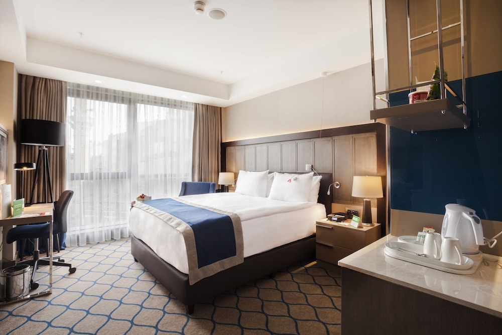 HOLIDAY INN KAYSERI - DUVENONU 20/62