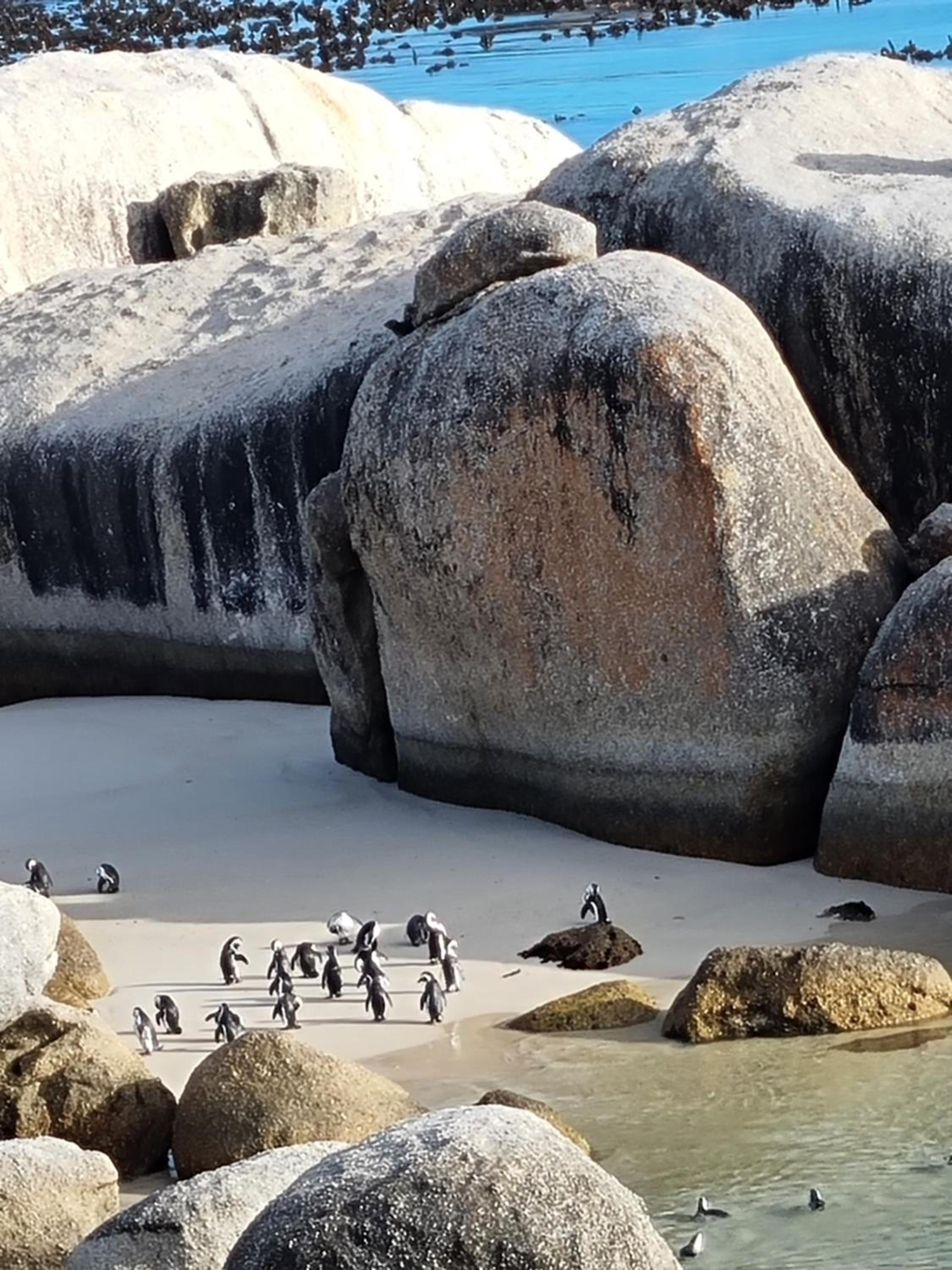 Boulders Beach House 11/15