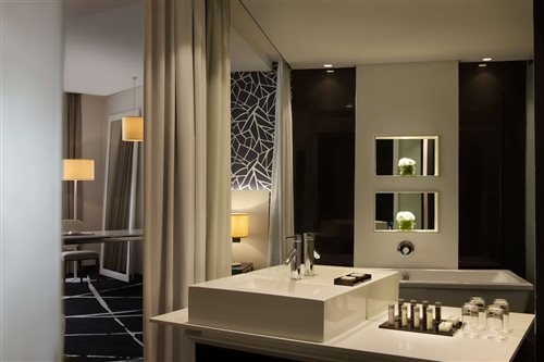 جناح جونيور مع دخول الصالة، Radisson Blu Lagos Ikeja 2/2