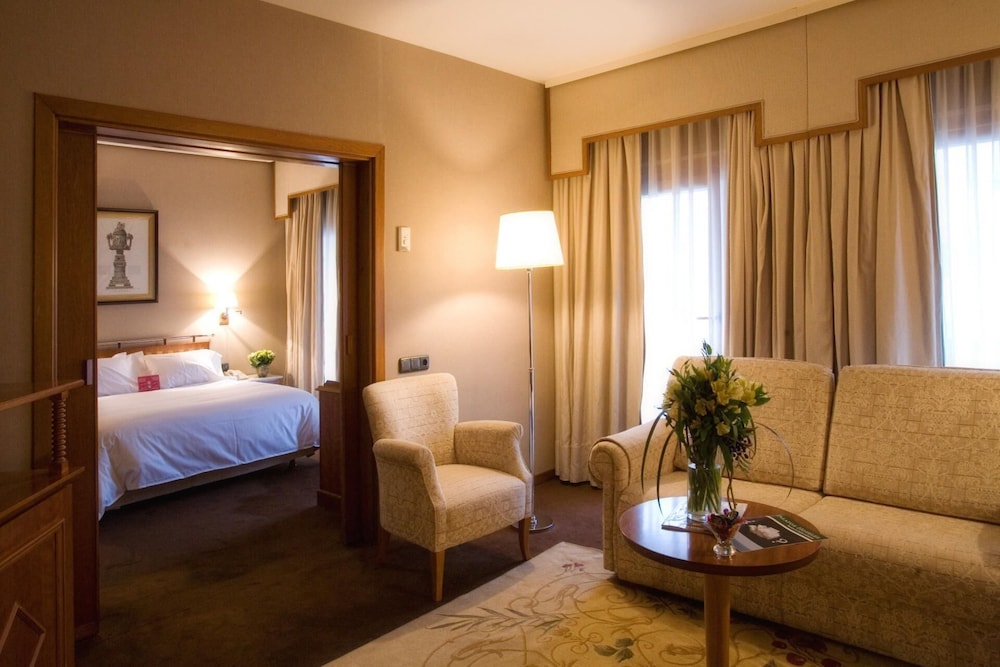 Hotel Palafox 15/55