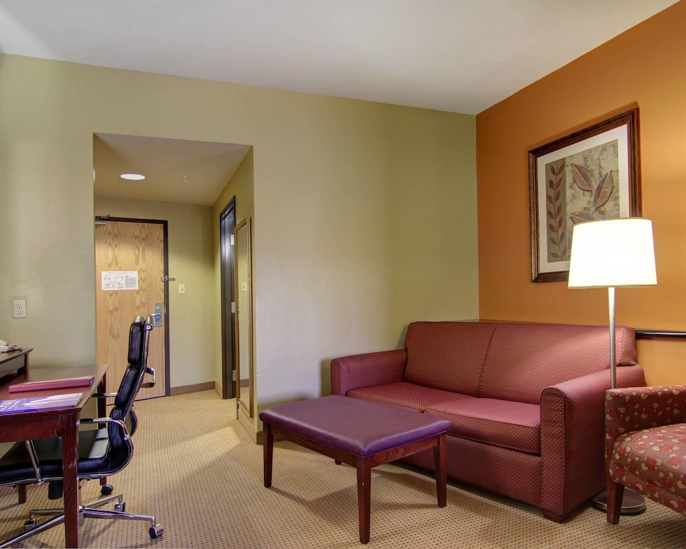 Comfort Suites El Paso West 28/49