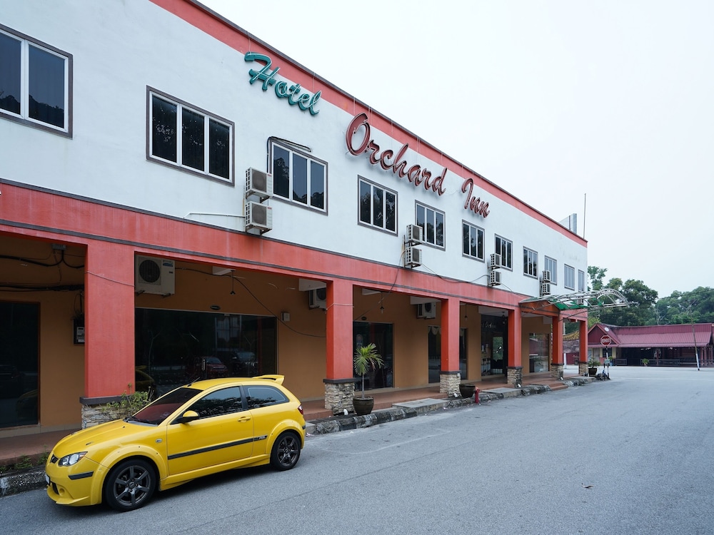 Super OYO 44083 Hotel Orchard Inn 14/17