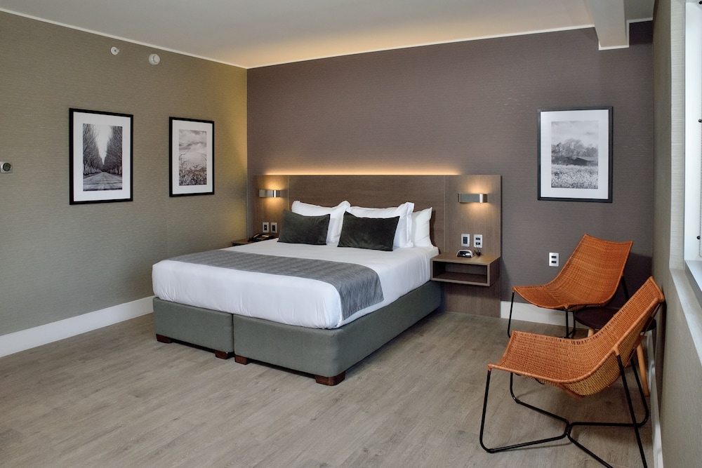 استوديو بسرير كينج لذوي الإعاقة، Radisson Hotel Curico 2/10