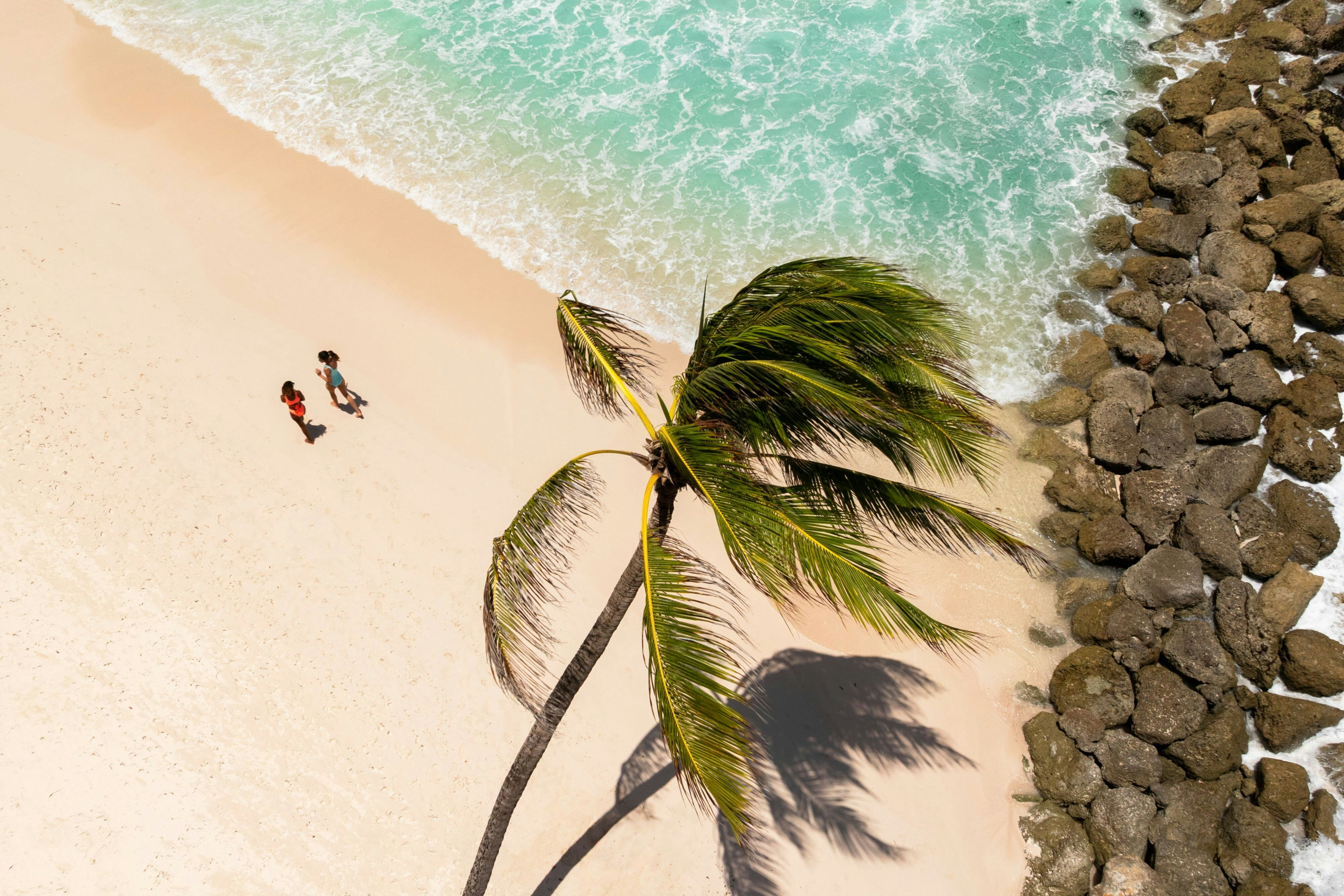 Turtle Beach By Elegant Hotels - All-Inclusive 39/42