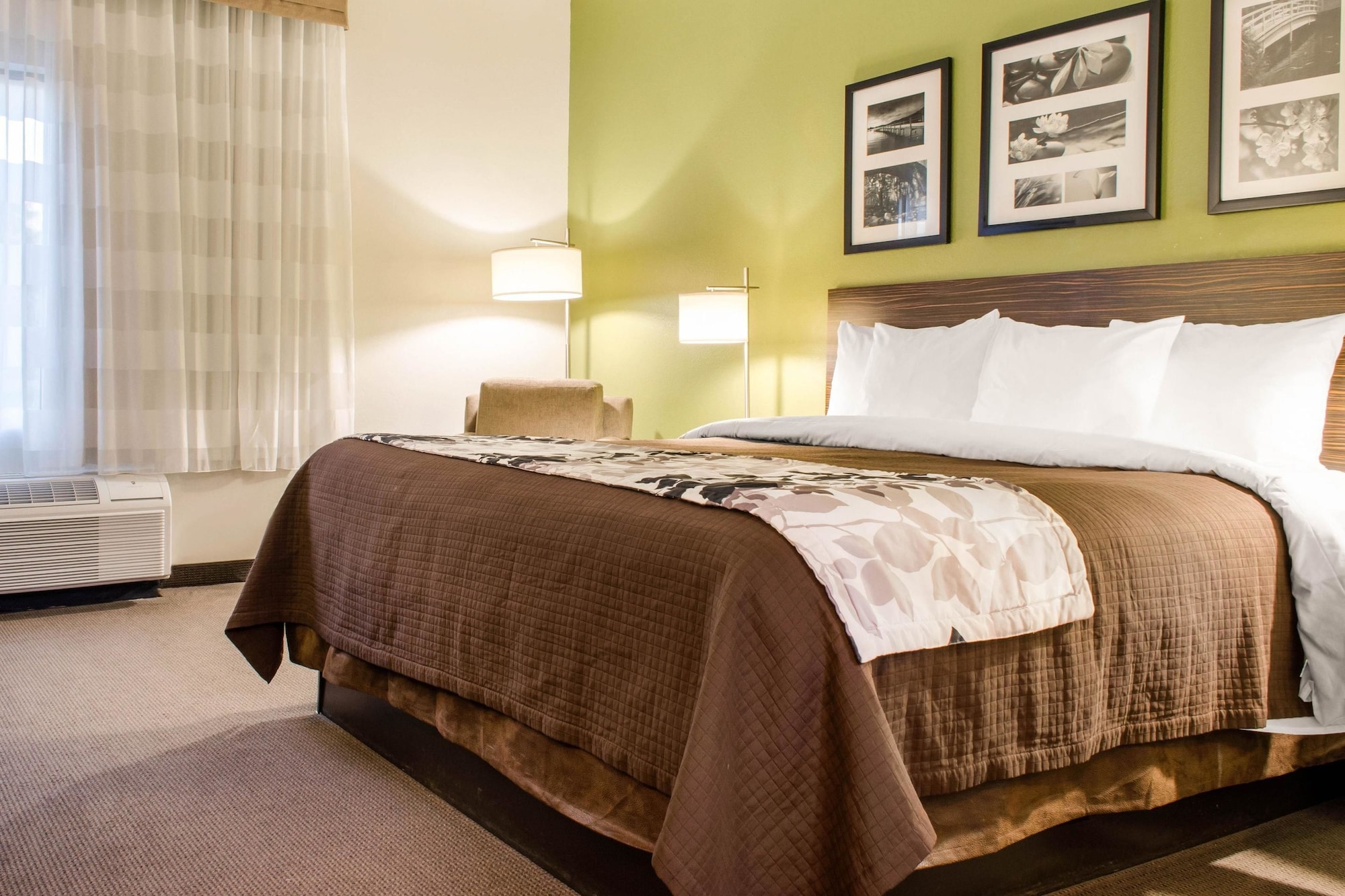 ROOM, QUEEN BED, ACCESSIBLE