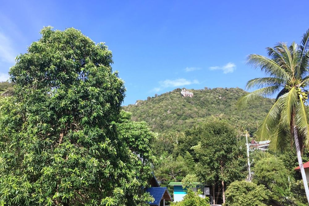 Summer Guesthouse & Hostel 24/25
