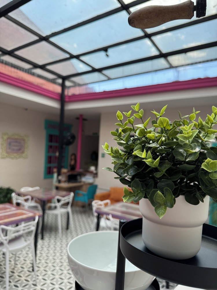 Casa Hotel Las Hortensias 27/50