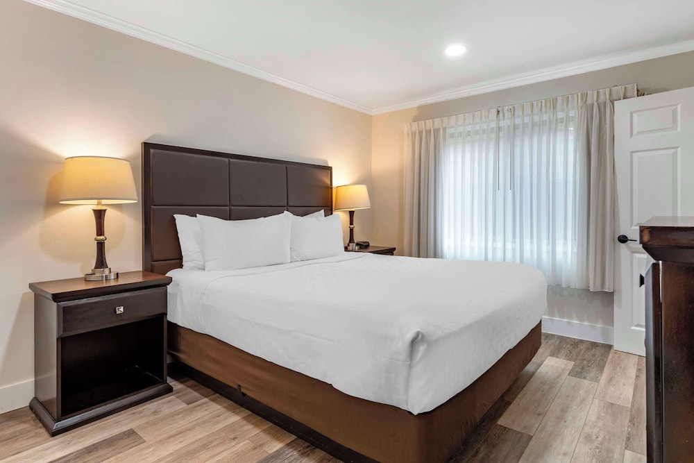 SUITE, KING BED, LIVING AREA