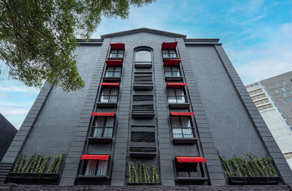 Hive Mexico City by G Hotels 6/56