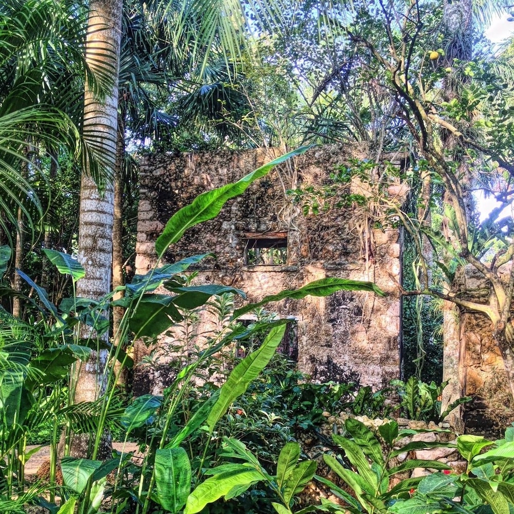 surroundings