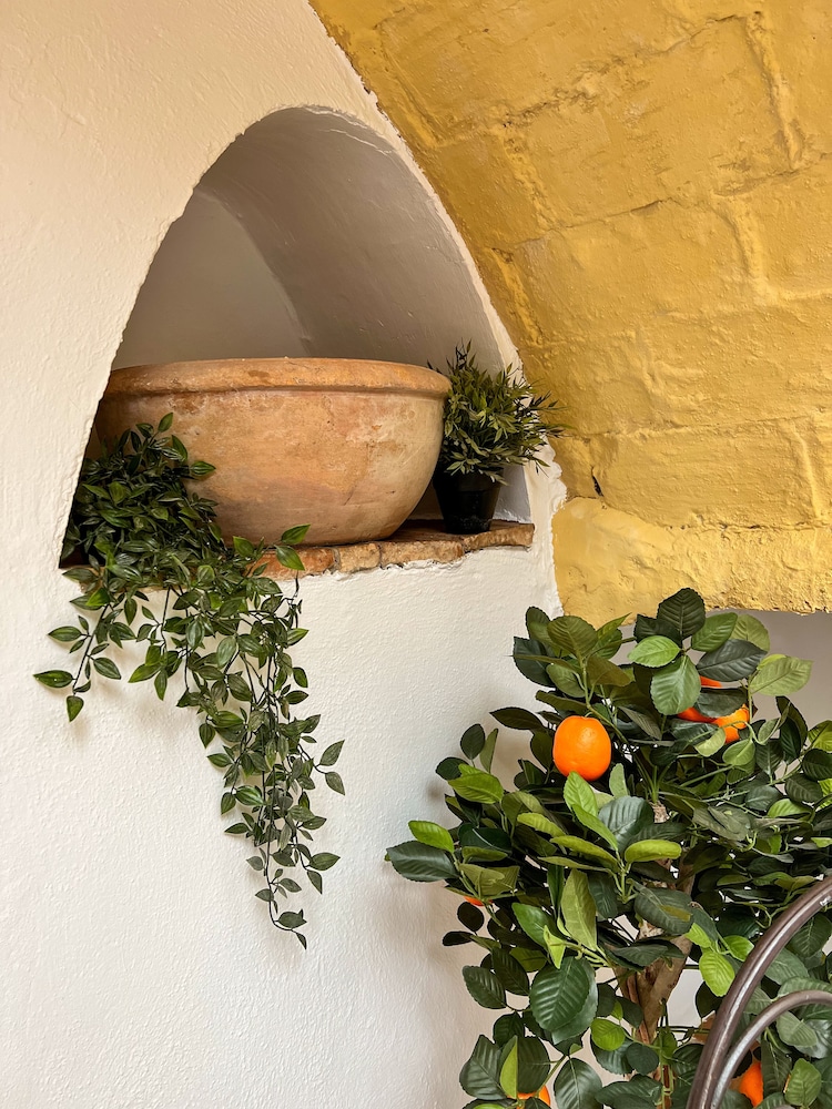 Posada San Fernando 46/50
