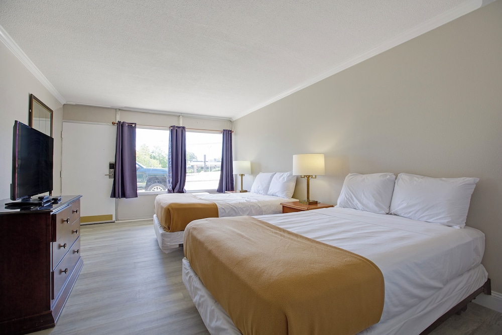 Room, 1 Double and 2 Queen Beds