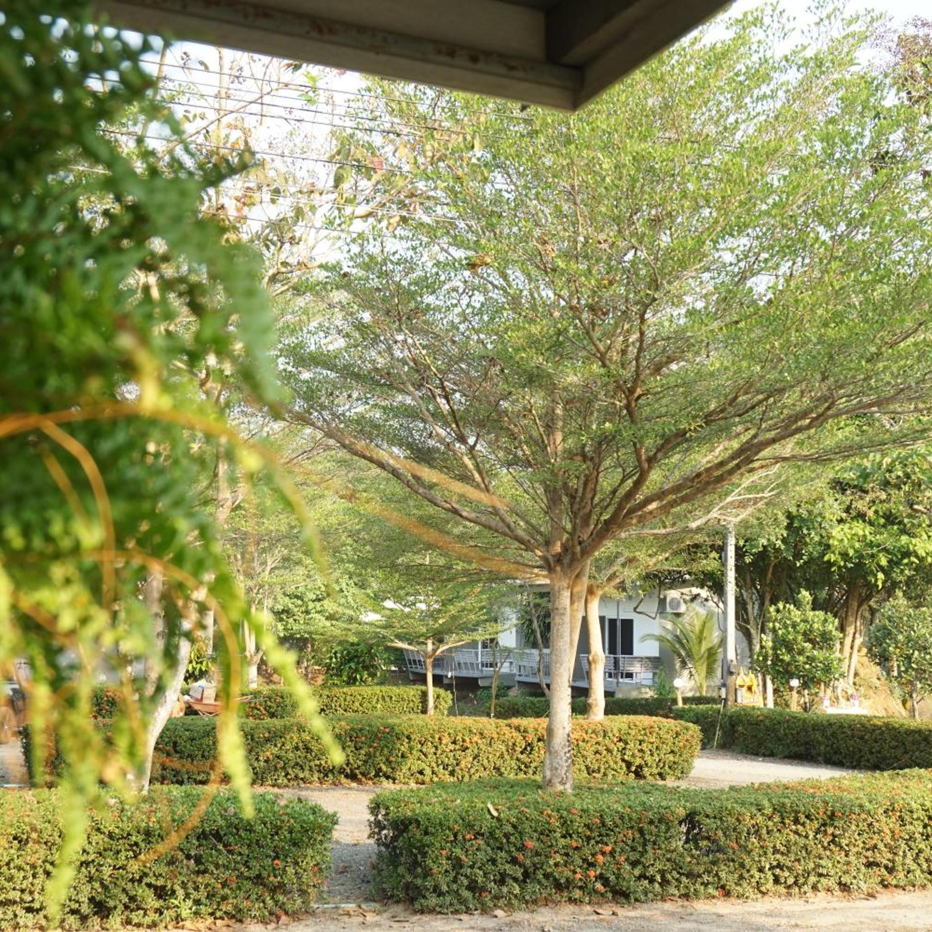 Samedngam Resort 46/52