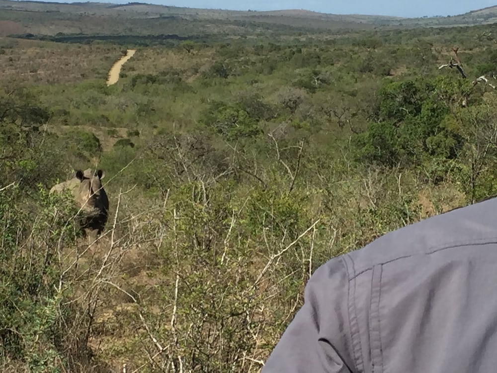 Rhino Ridge Safari Lodge 43/50