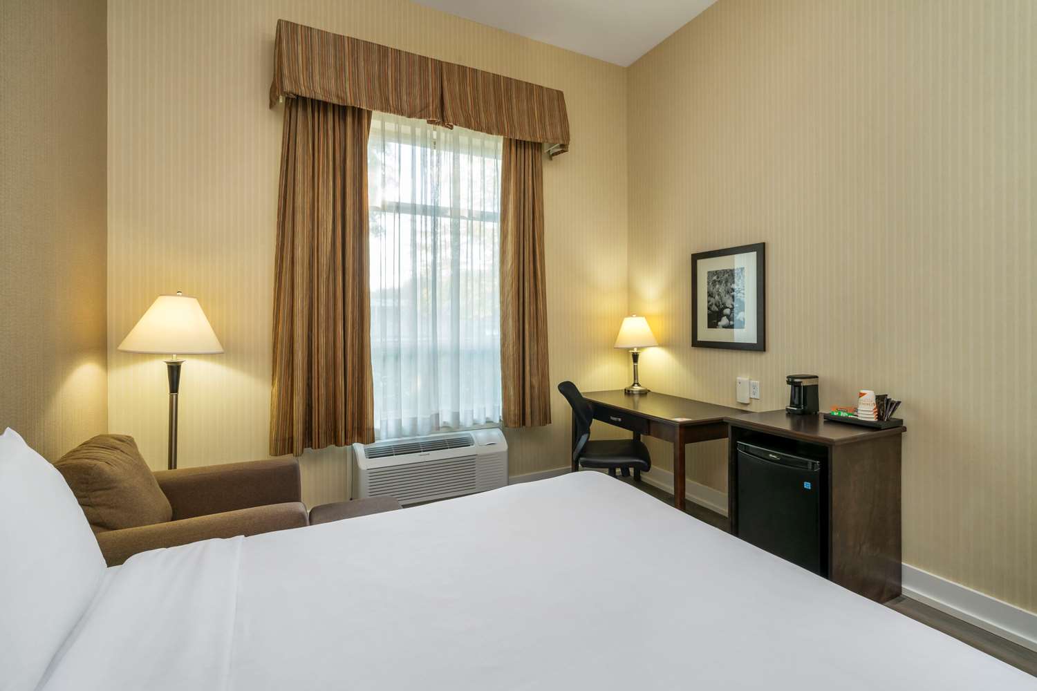 Comfort Inn & Suites Surrey 14/60