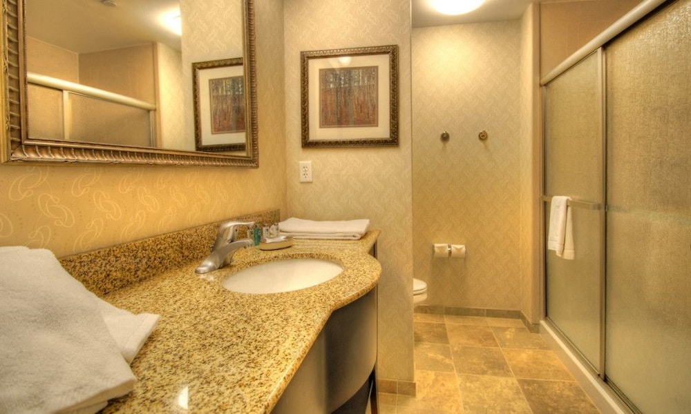 HOLIDAY INN EXPRESS WEST JEFFERSON 13/49