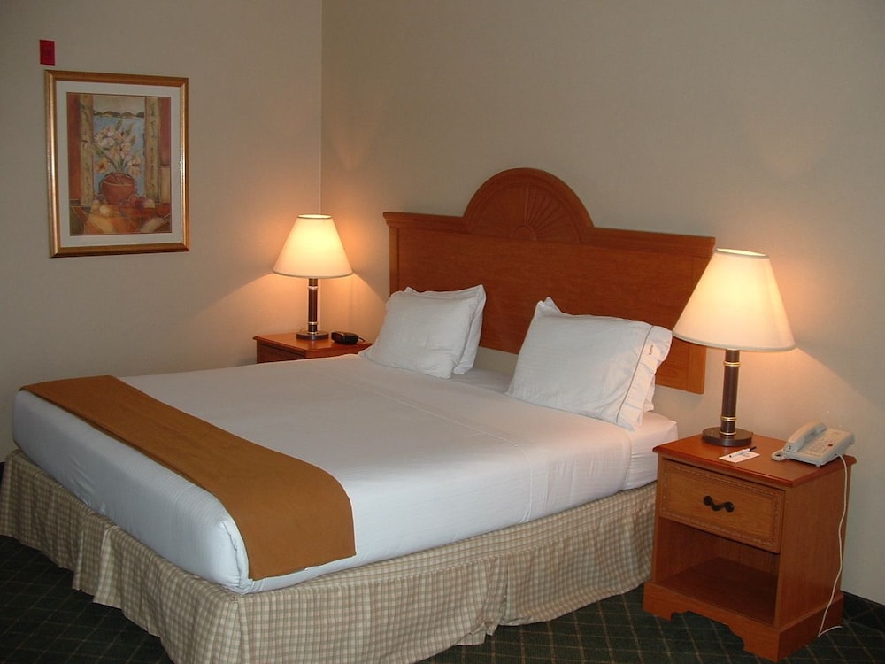 Holiday Inn Express Hotel And Suites Sylacauga 17/52
