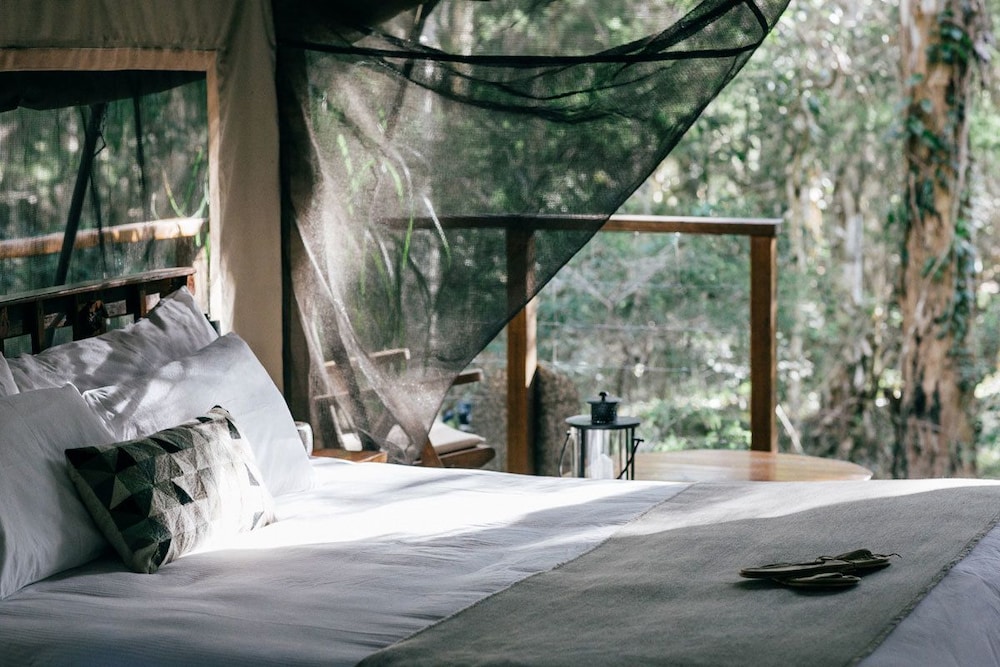 Paperbark Camp 16/48