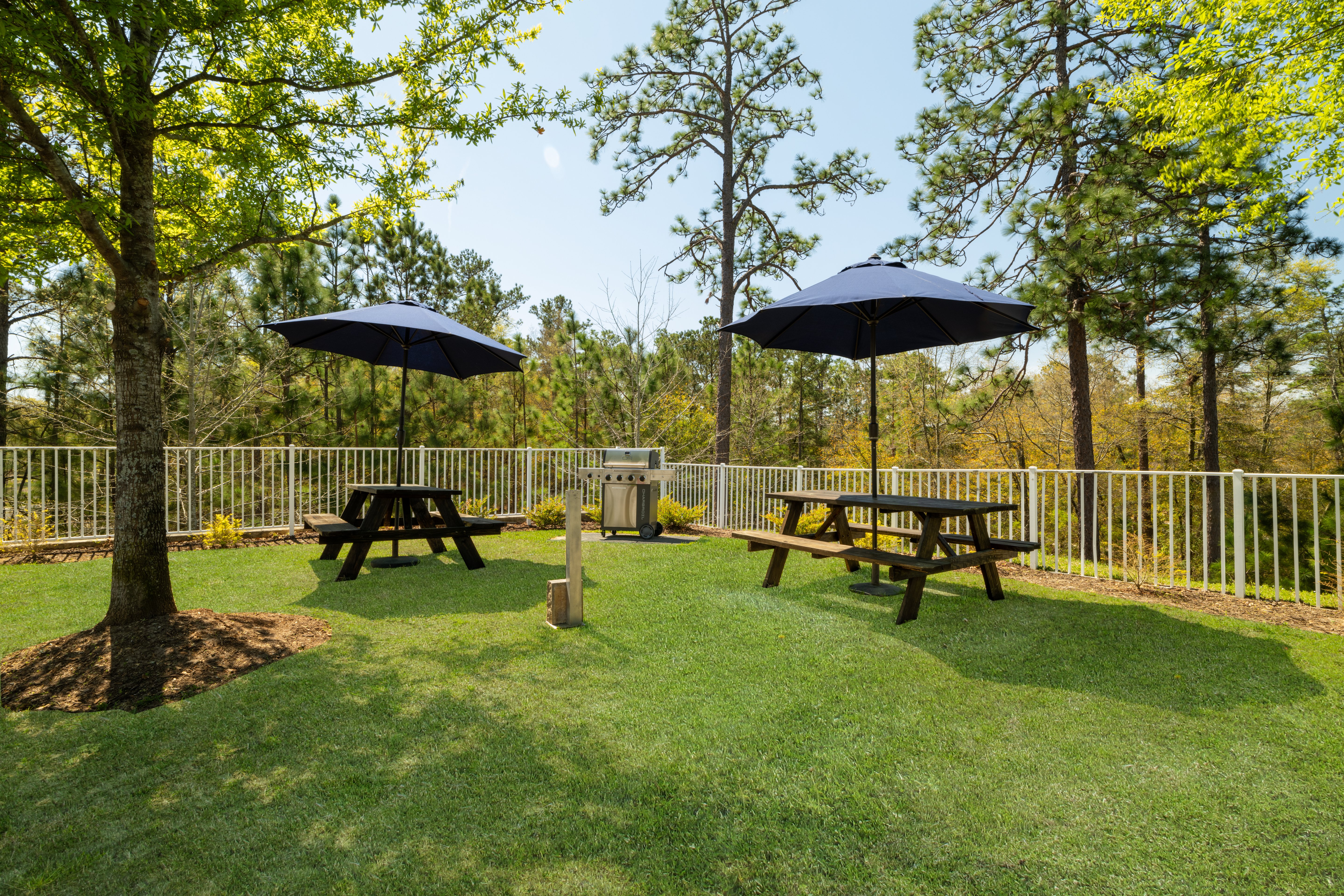 Holiday Inn Express And Suites Aiken 42/50