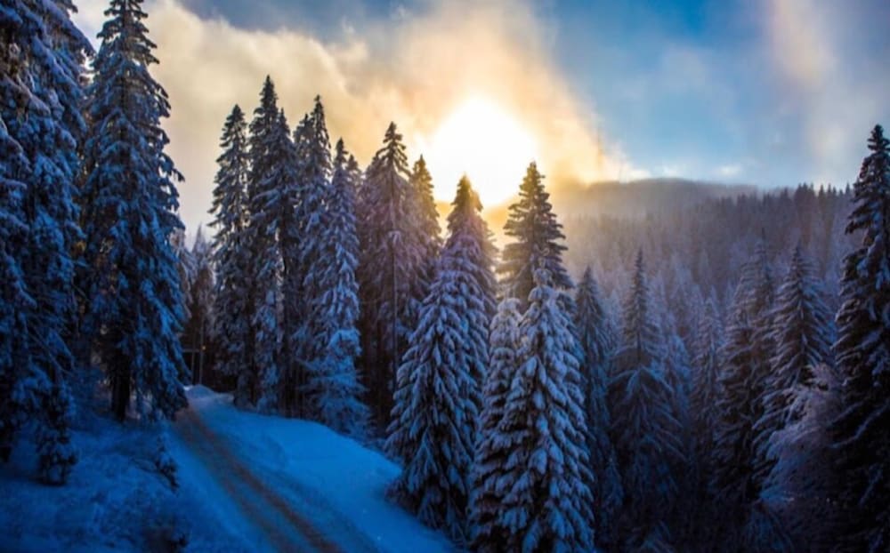 Sunny Hills Ski 46/50
